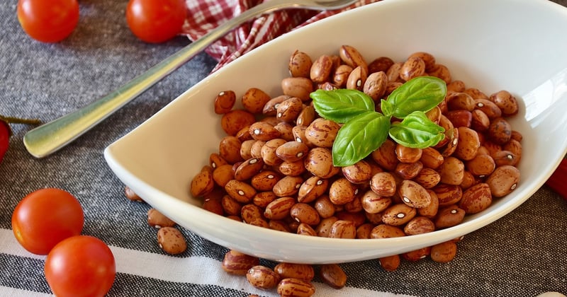 Plats végétariens complets : équilibrer protéines et saveurs sans viande