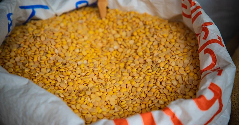 Préparer ses repas pour la semaine conservation : le tableau qu'il vous manque