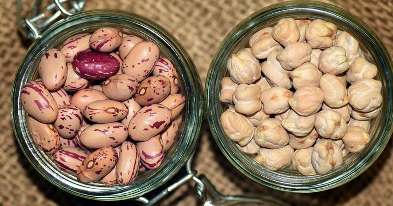 Légumineuses au quotidien : pois chiches, lentilles et haricots en plats végétariens