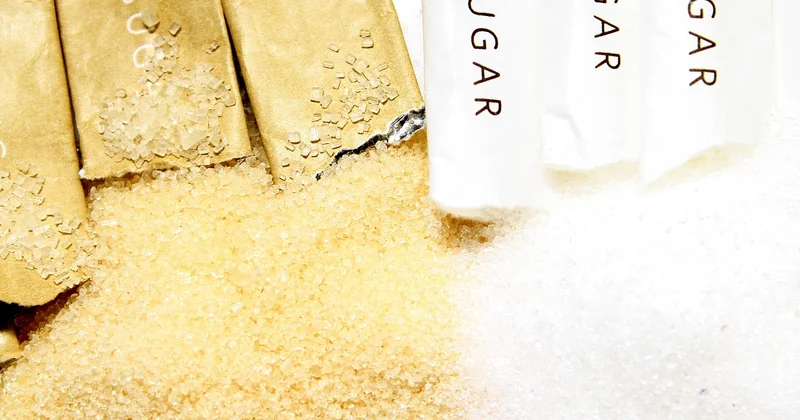 Érythritol, stévia, dattes : ce qui marche vraiment (et ce qui vous décevra)